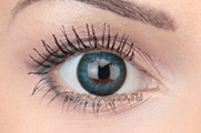 Neo Cosmo Two Tone 251