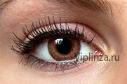 Freshlook ColorBlends