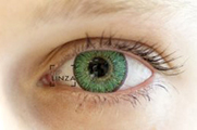 Neo Cosmo Two Tone 222