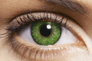 Soflens Natural Colors