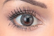Neo Cosmo Two Tone 225
