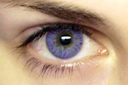 Freshlook Colors violet