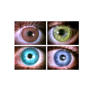 5 Конкор оттеночные полностью окрашенные