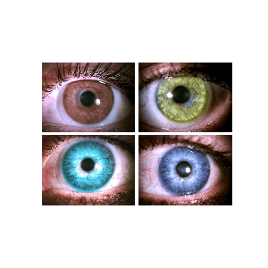 2 Конкор оттеночные